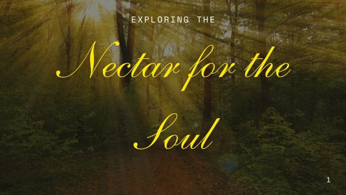 Nectar for the Soul